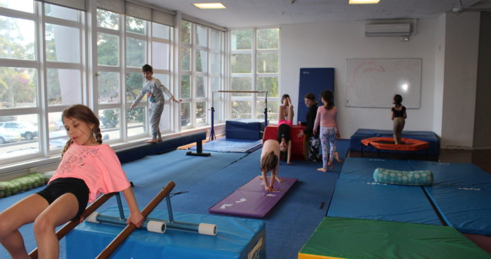 Gymnastics equipment annandale